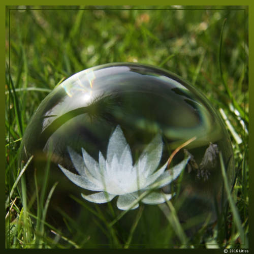 Esfera De Flor De Loto Litios M Xico